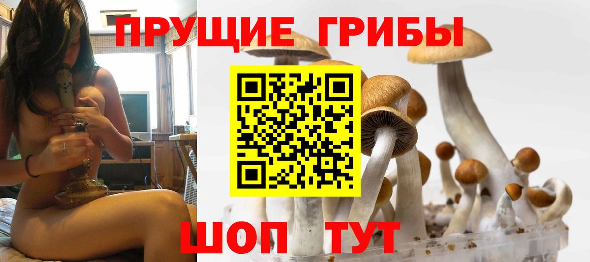 как найти наркотики  Вход с VPN  Лыткарино  Псилоцибиновые грибы мицелий 